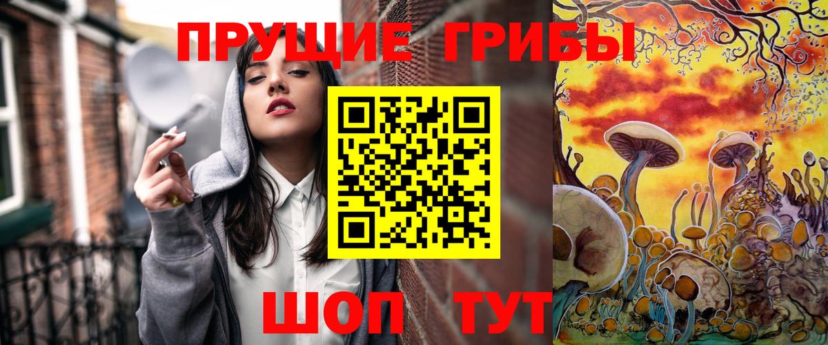 Псилоцибиновые грибы мицелий Осинники