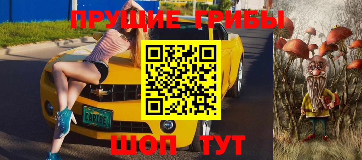 Осинники  Галлюциногенные грибы ЛСД  Вход с VPN 